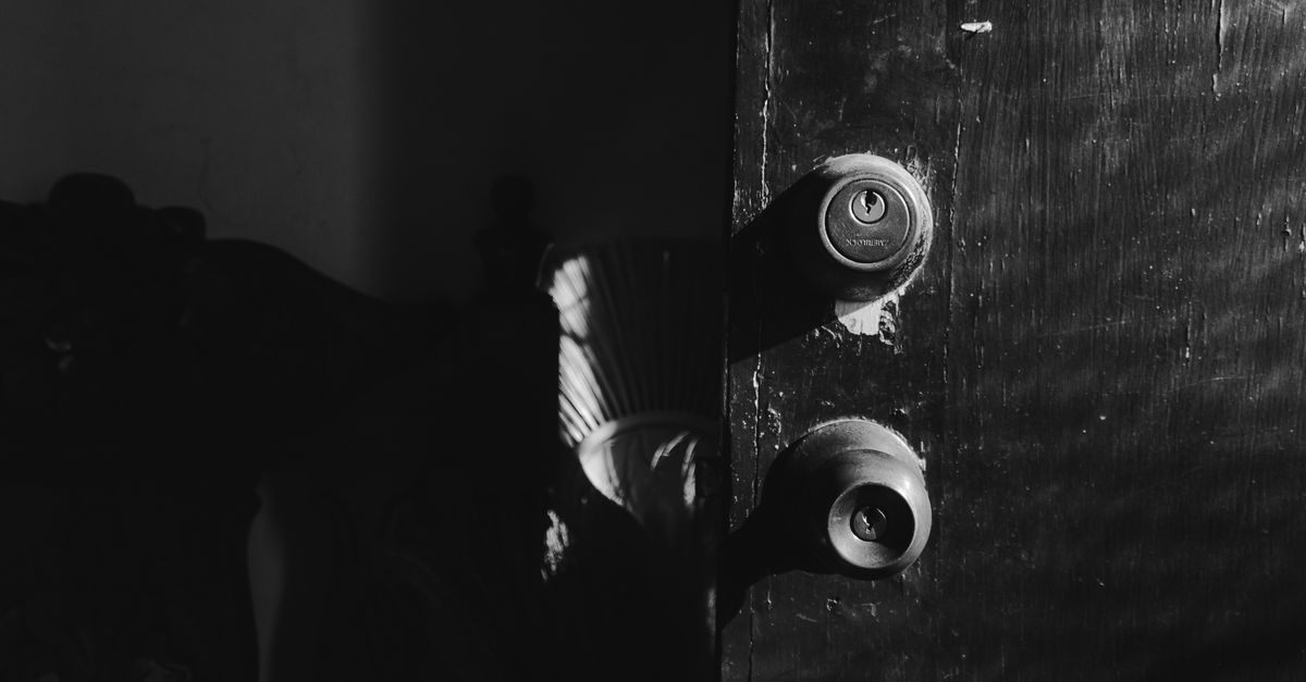 door security hardware — Steve Locksmith
